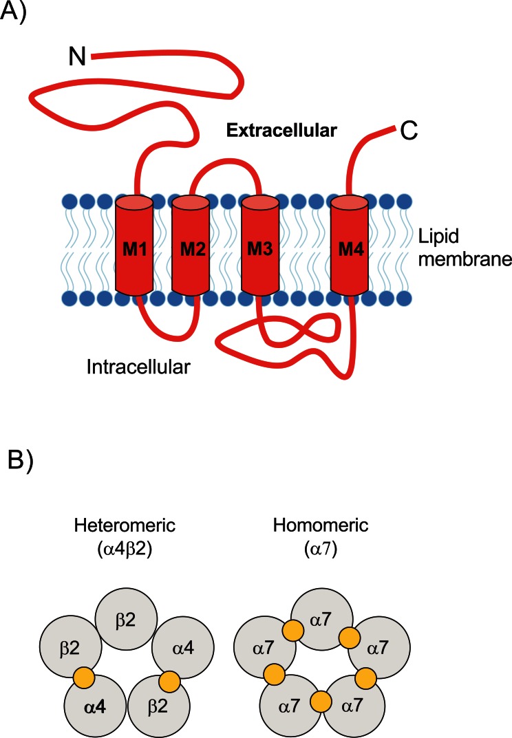 Fig. (1)