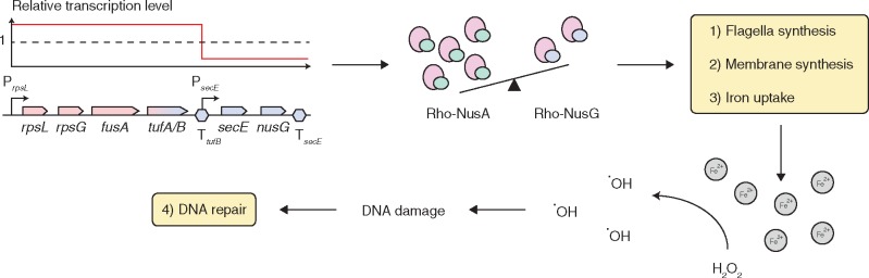 Fig. 3.