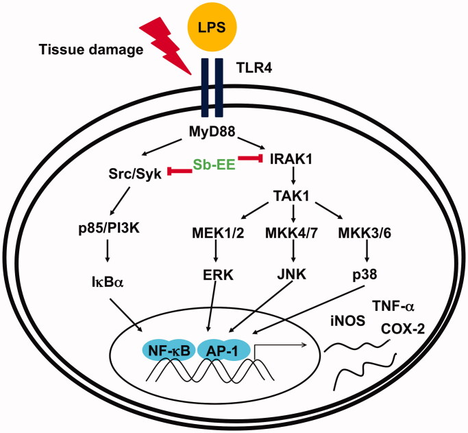 Figure 6.