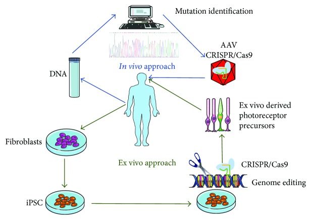 Figure 2