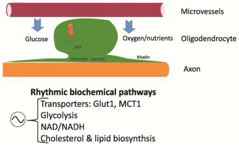 Fig. 4: