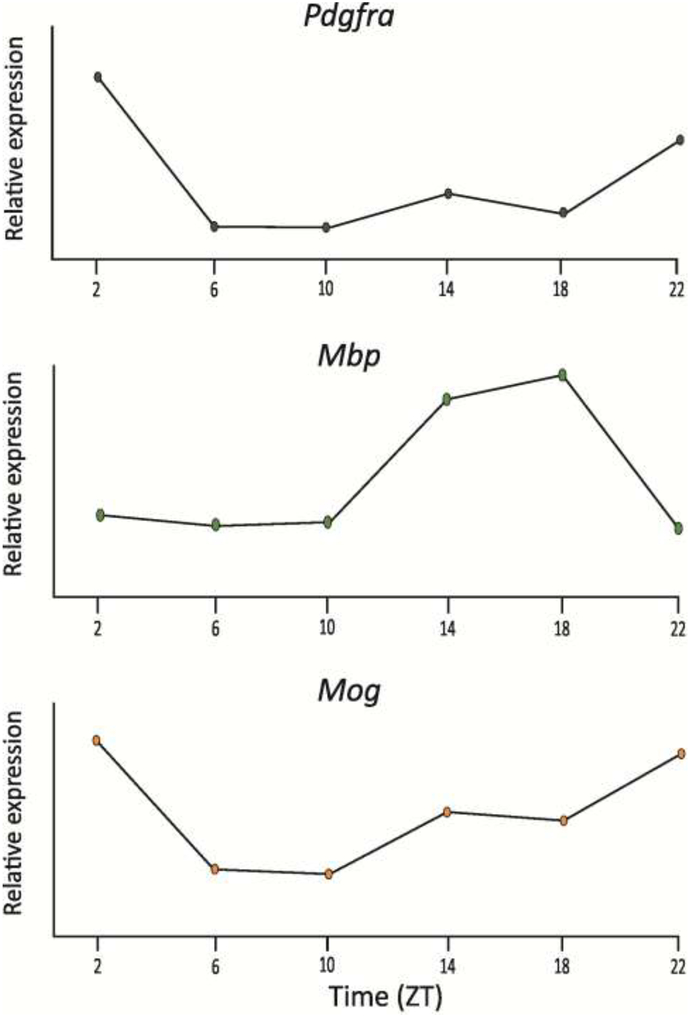 Fig. 3: