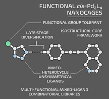 graphic file with name CHEM-27-4454-g004.jpg