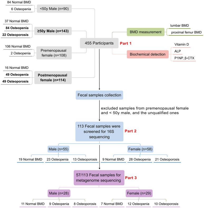 Figure 1