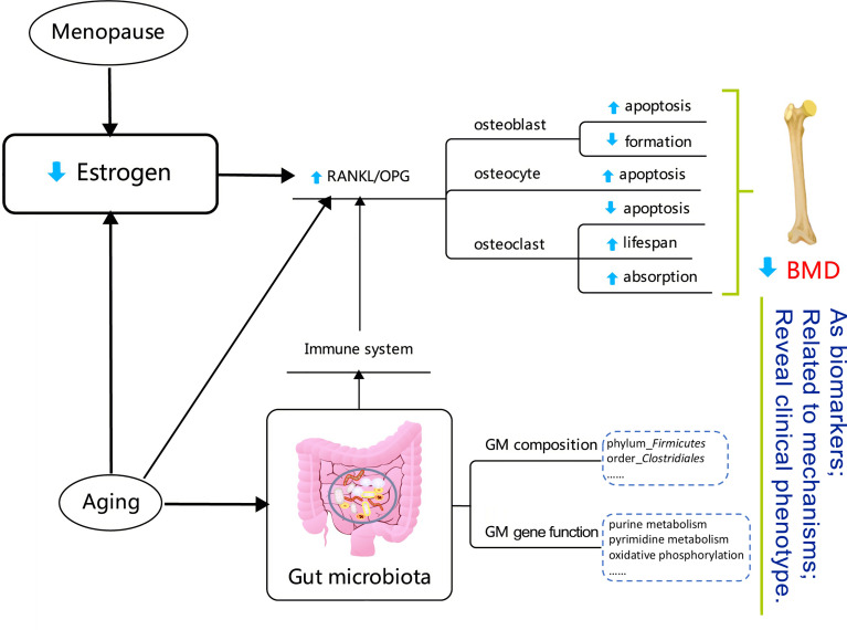 Figure 7