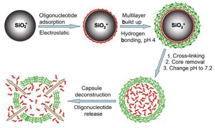 Scheme 6