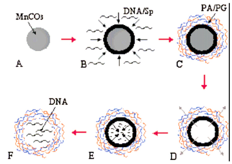 Scheme 5