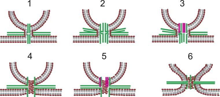 Figure 9.