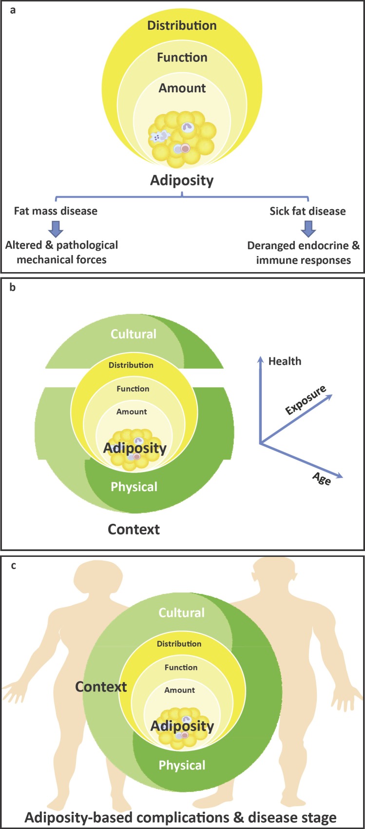 The ABCD of Obesity: An EASO Position Statement on a Diagnostic Term ...