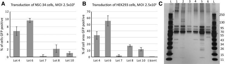 Figure 6.