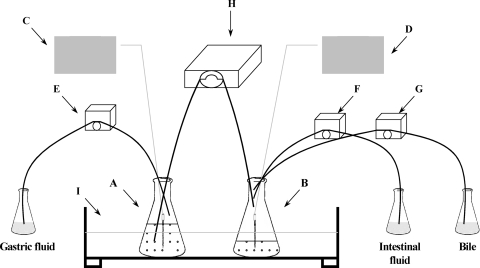 FIG. 1.