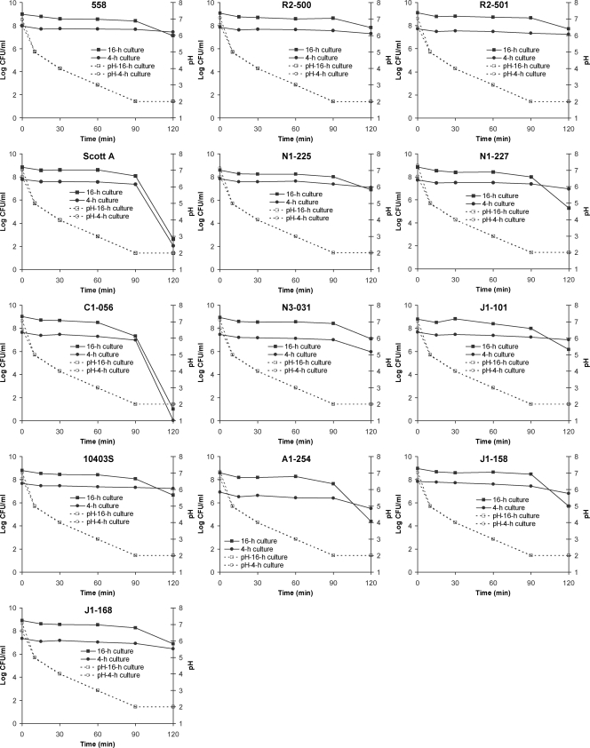 FIG. 2.