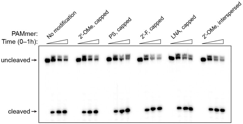 Extended Data Figure 6