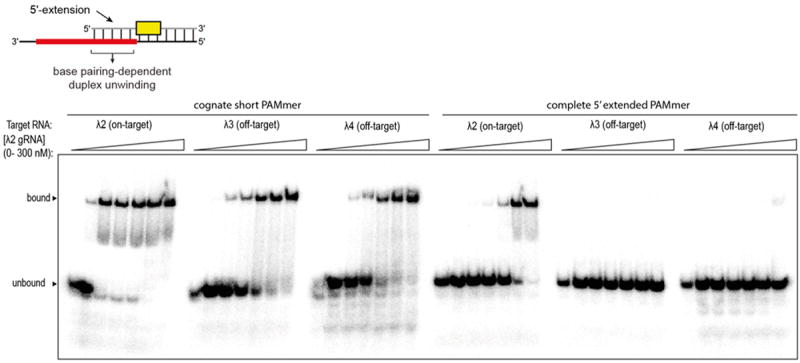 Extended Data Figure 3