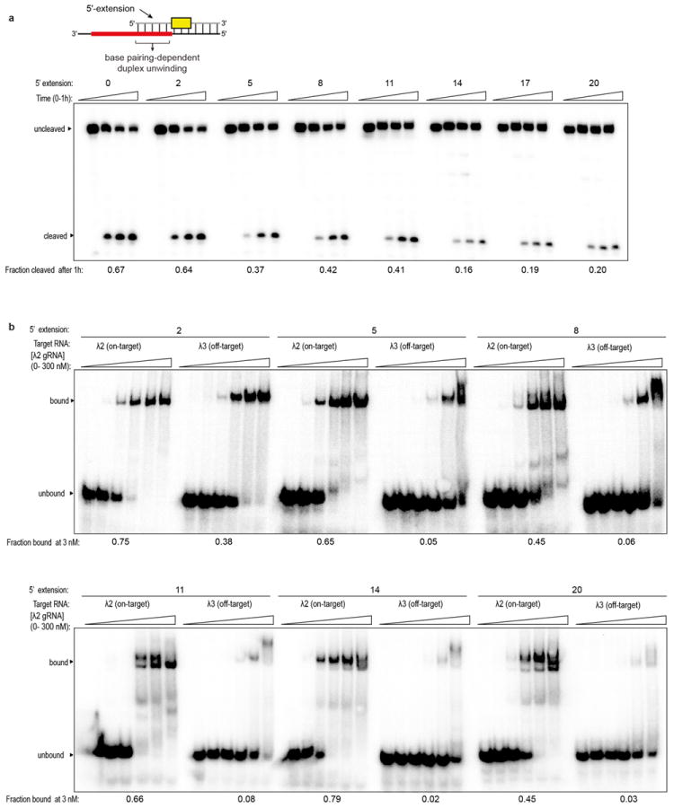 Extended Data Figure 4