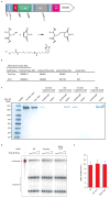 Extended Data Figure 5