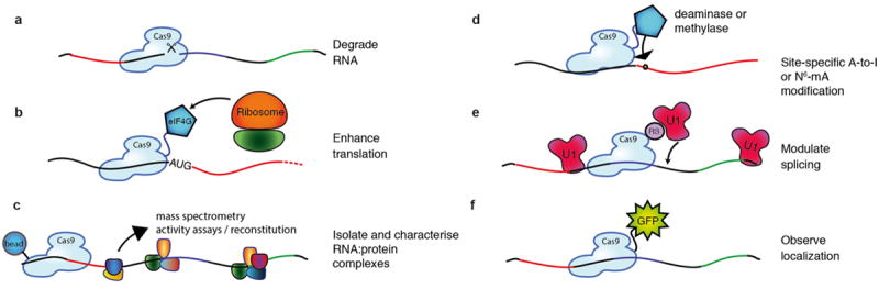 Extended Data Figure 8