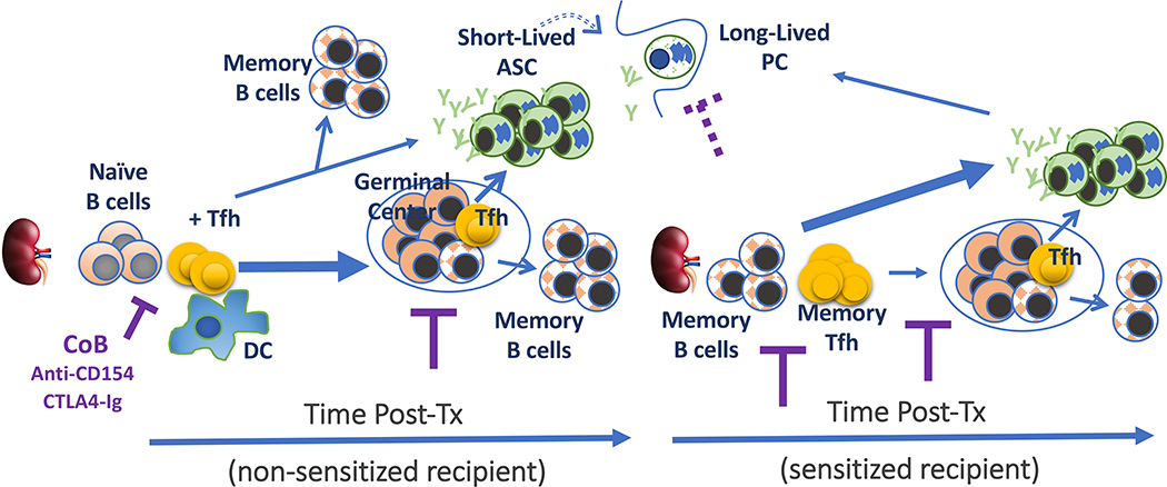 Fig 1.