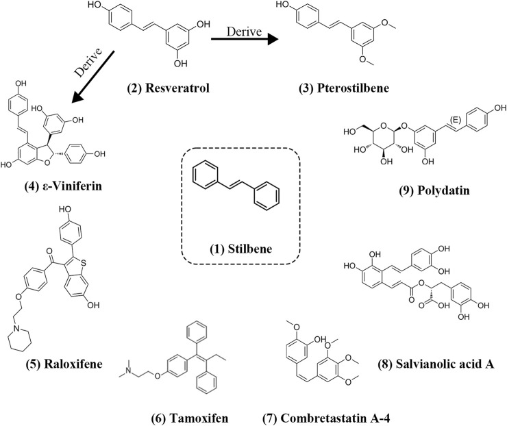 FIGURE 1