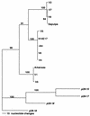 FIG. 5.