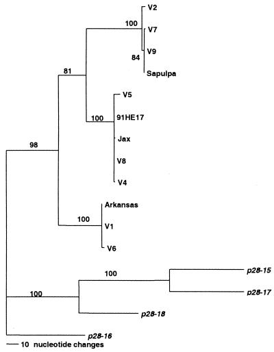 FIG. 5.