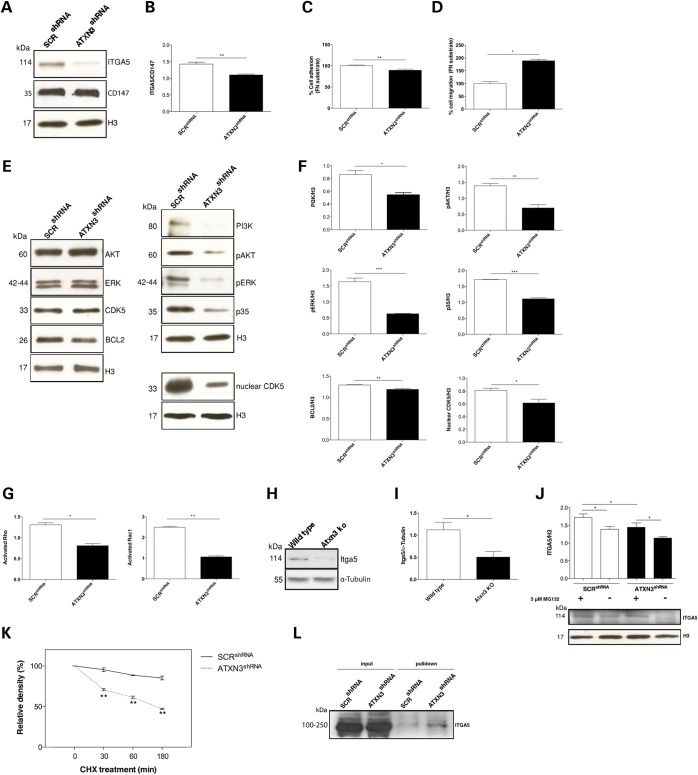 Figure 4.