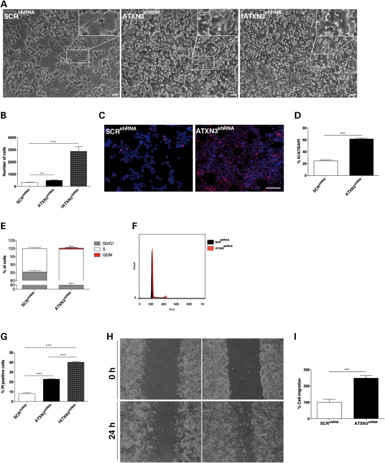 Figure 1.