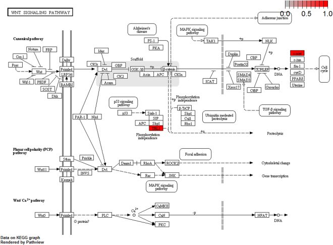 Figure 13