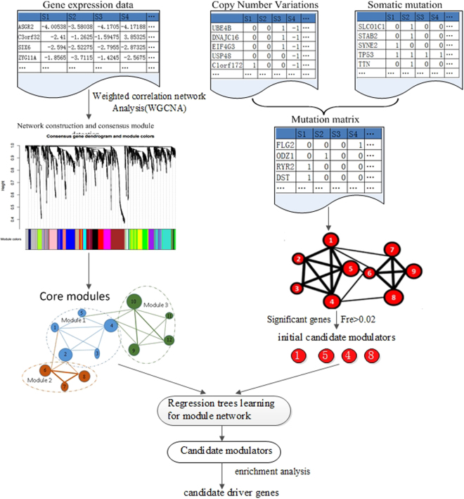 Figure 14