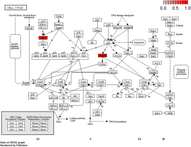 Figure 12