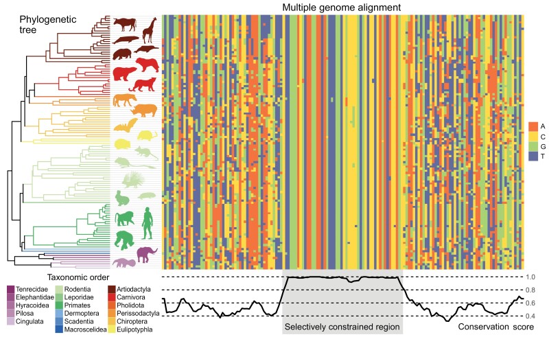 Figure 1.