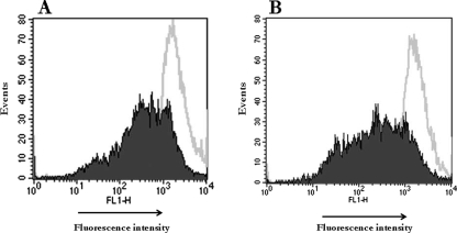 FIG. 5.