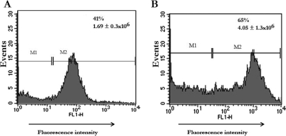 FIG. 2.