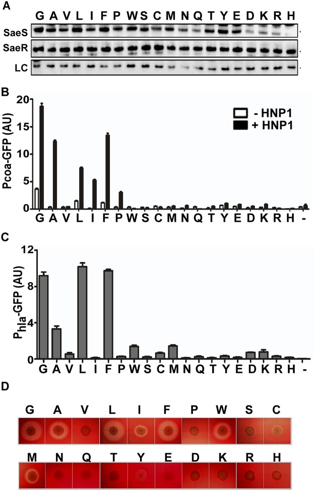 Fig 7