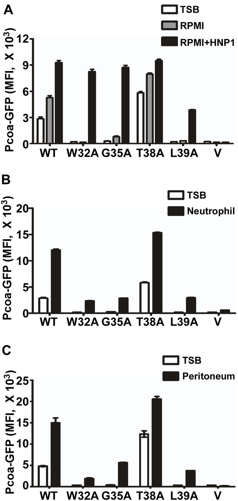 Fig 8