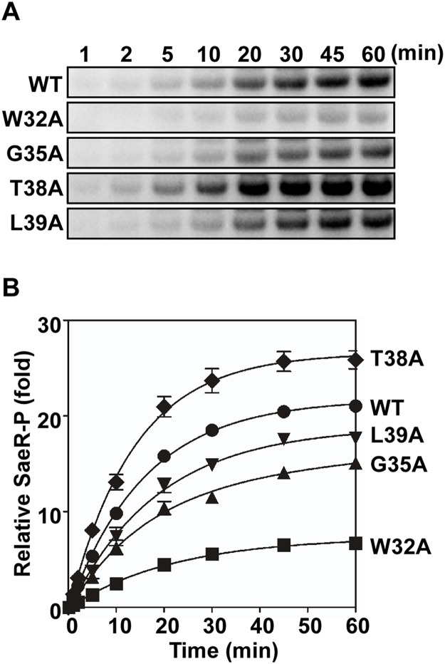 Fig 6