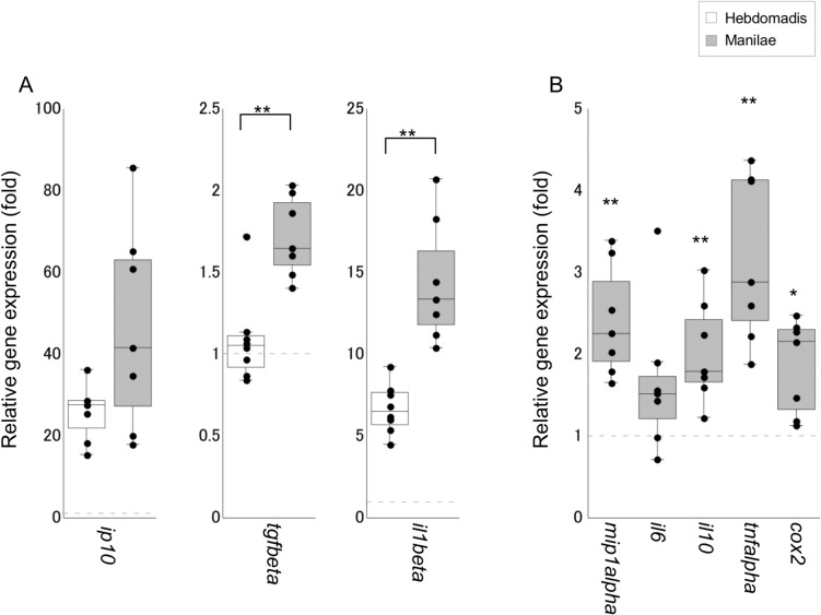 Fig 4