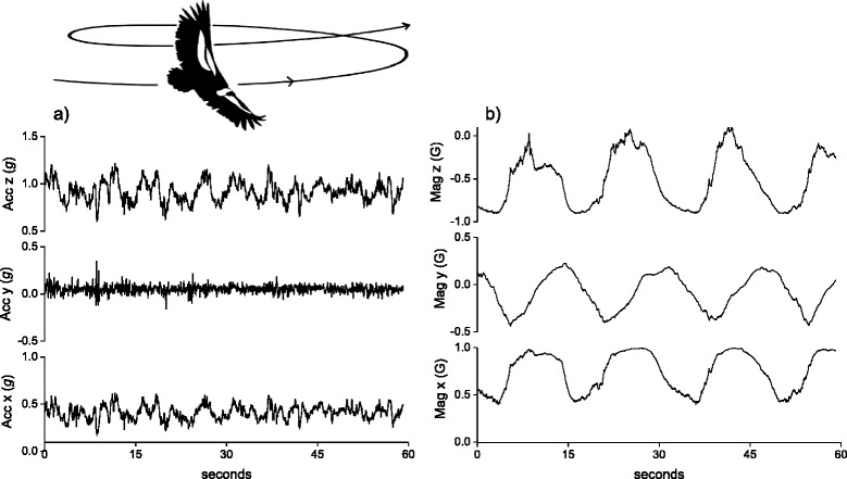 Fig. 1