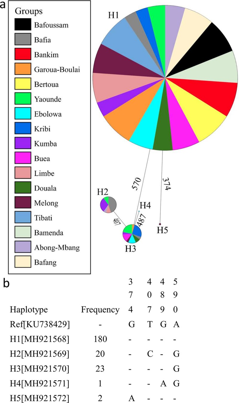 Fig 2