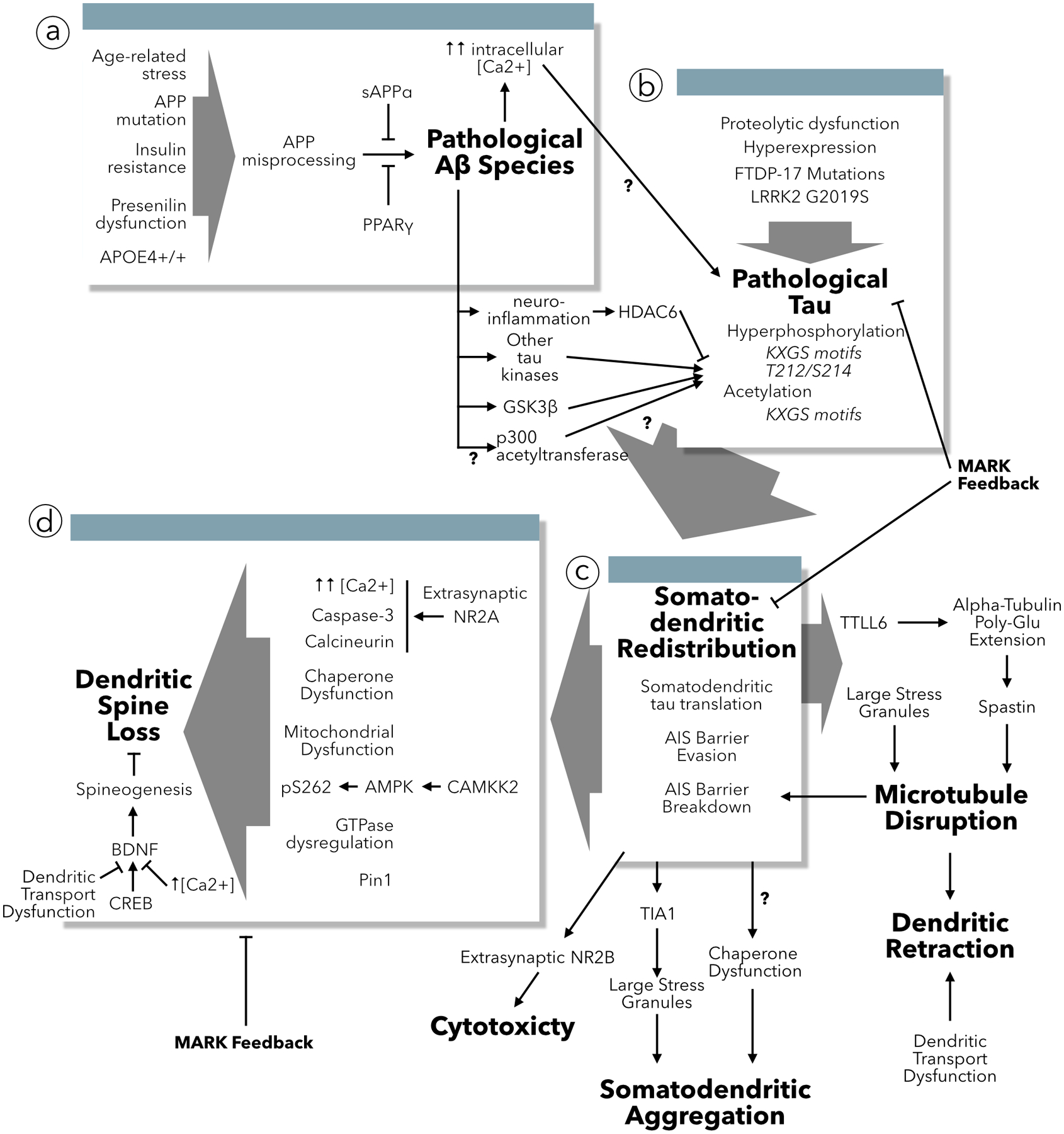 Figure 3: