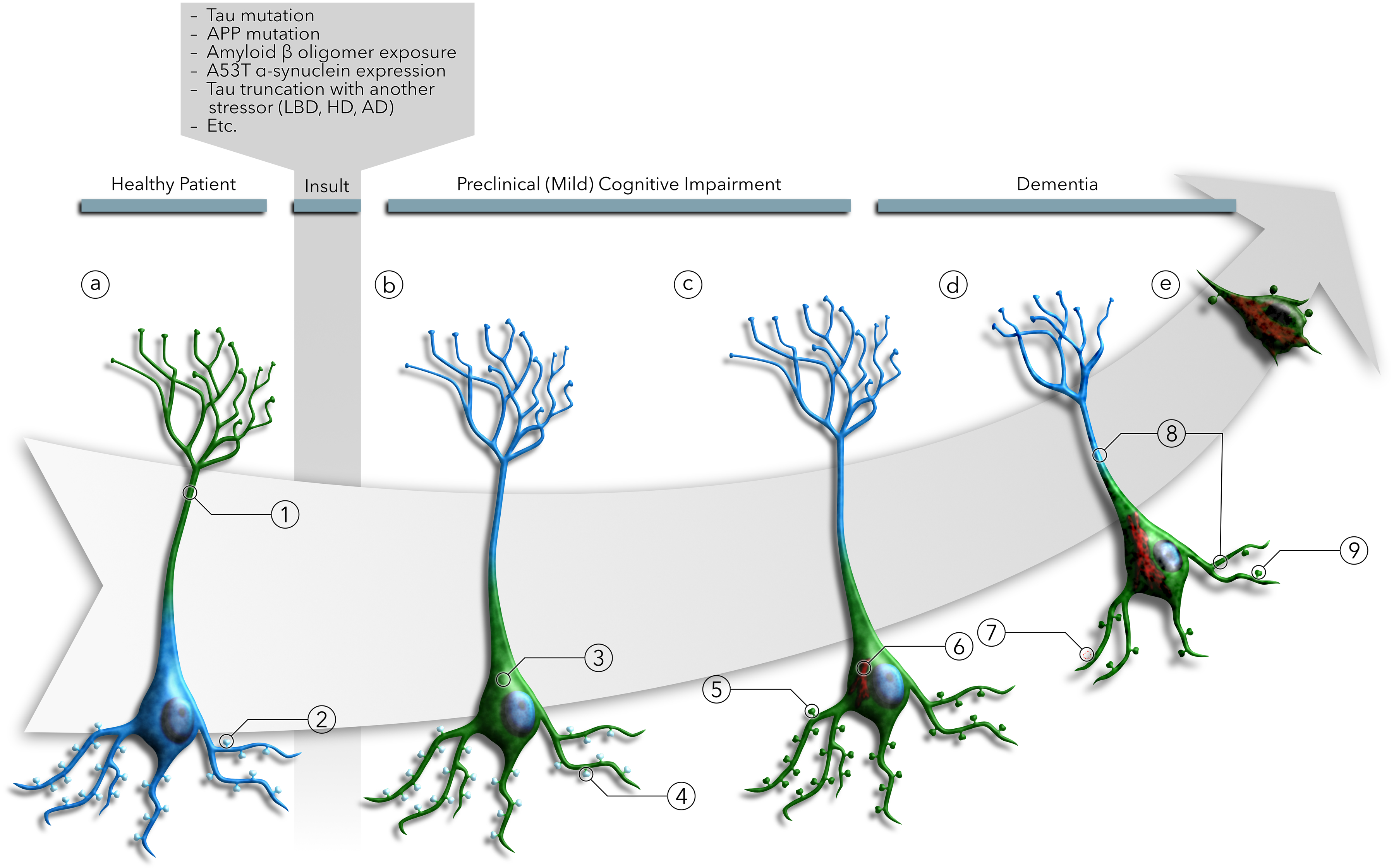 Figure 6: