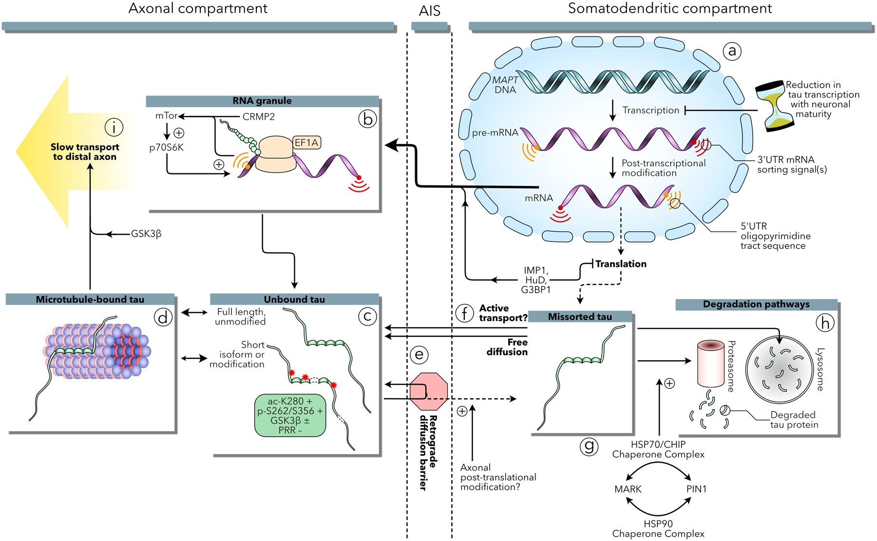 Figure 1: