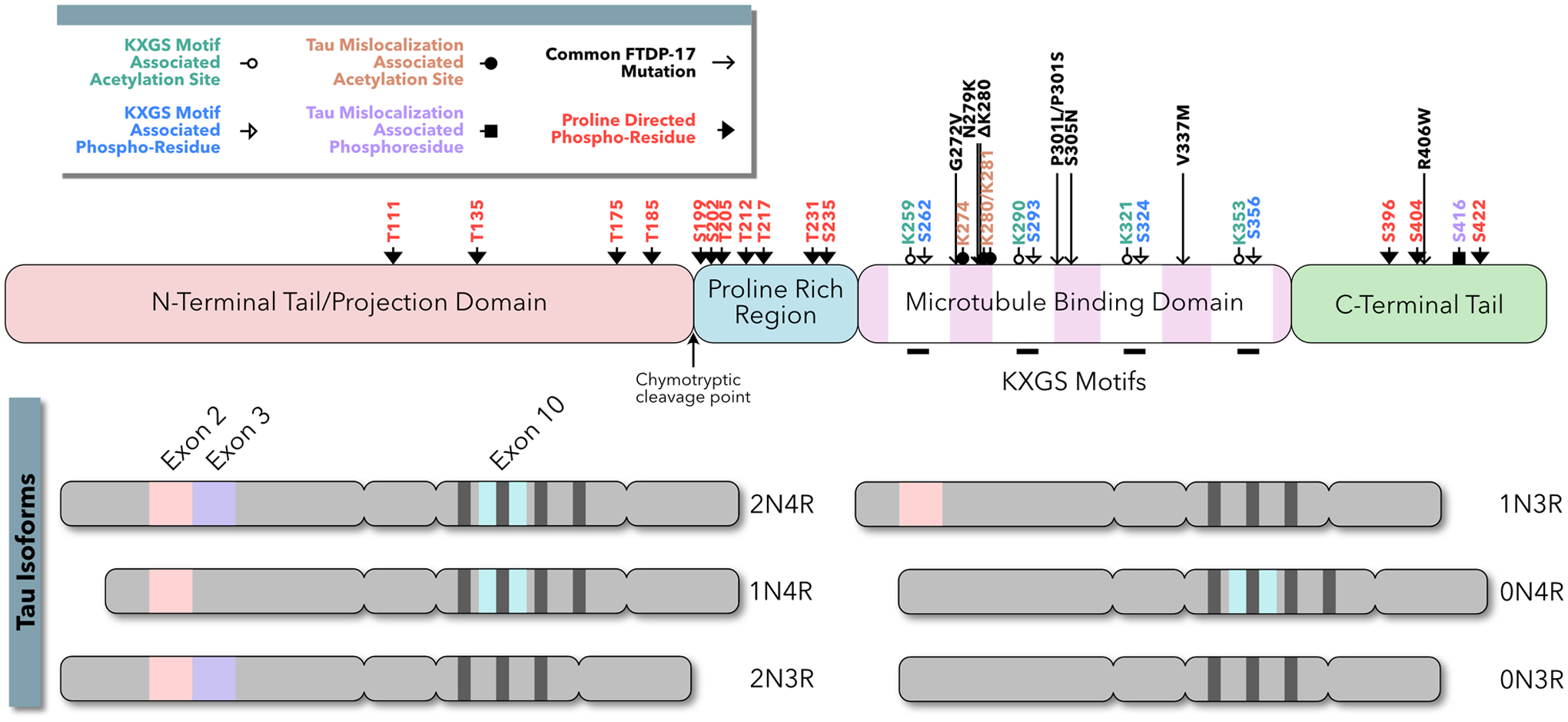 graphic file with name nihms-1738162-f0007.jpg