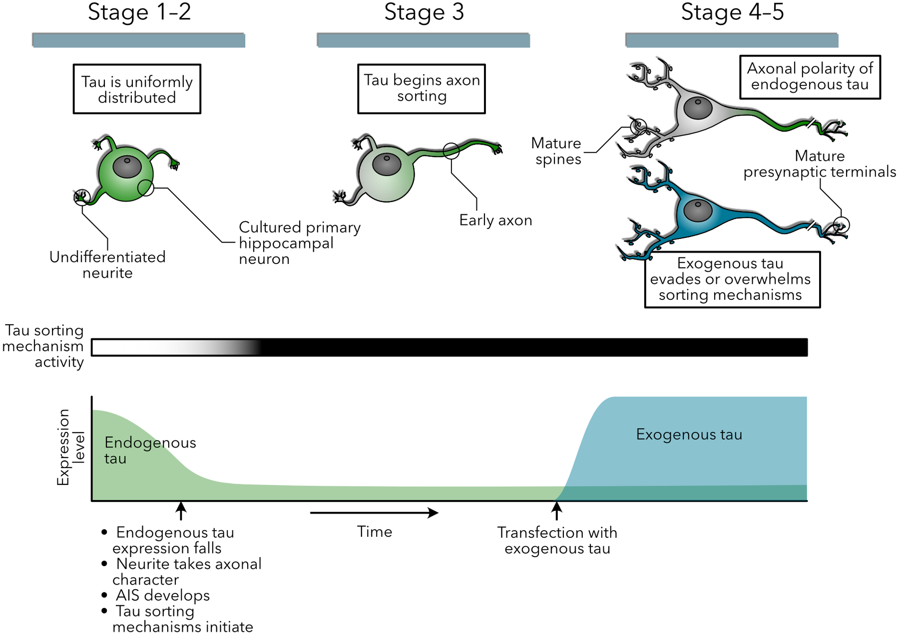 Figure 2: