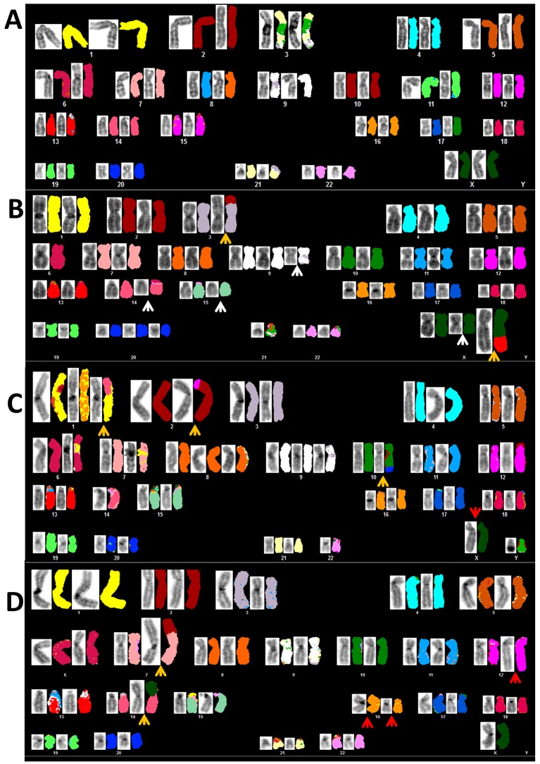 Fig 1