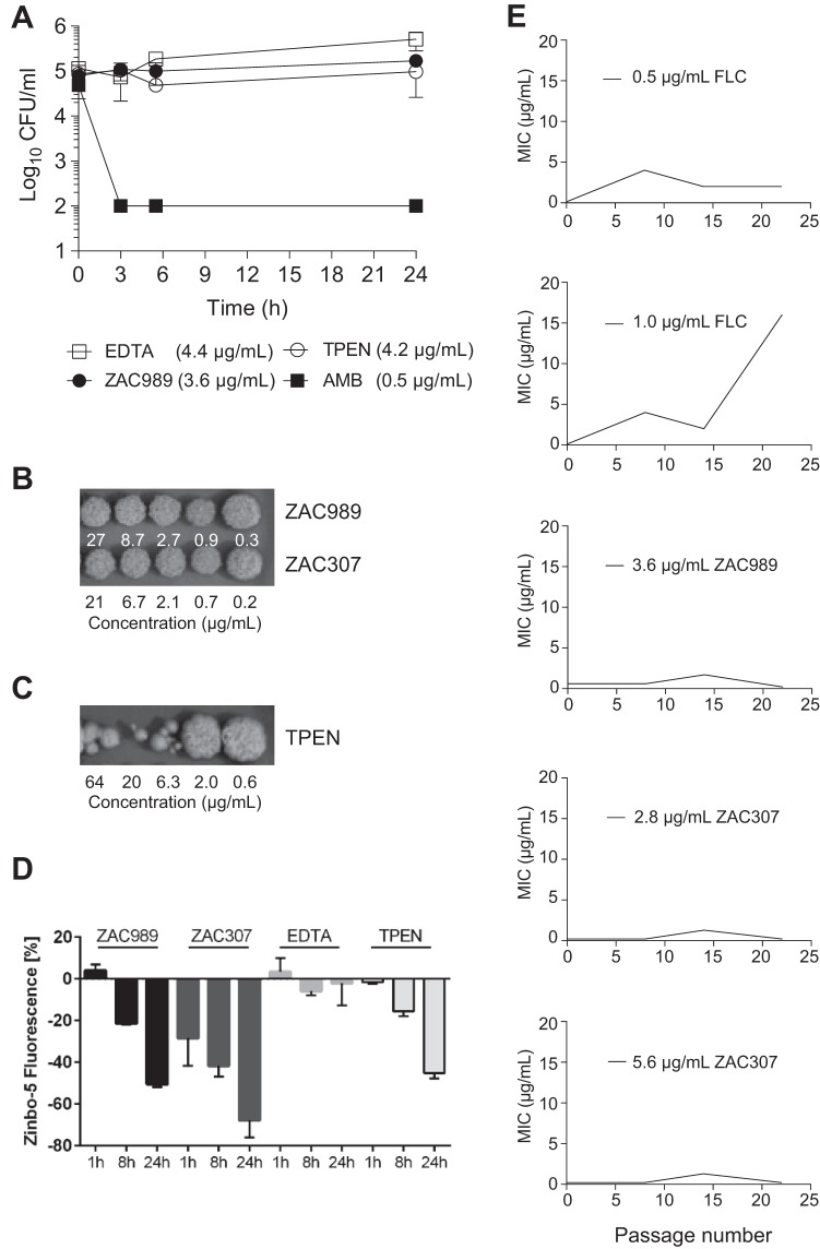 FIG 4