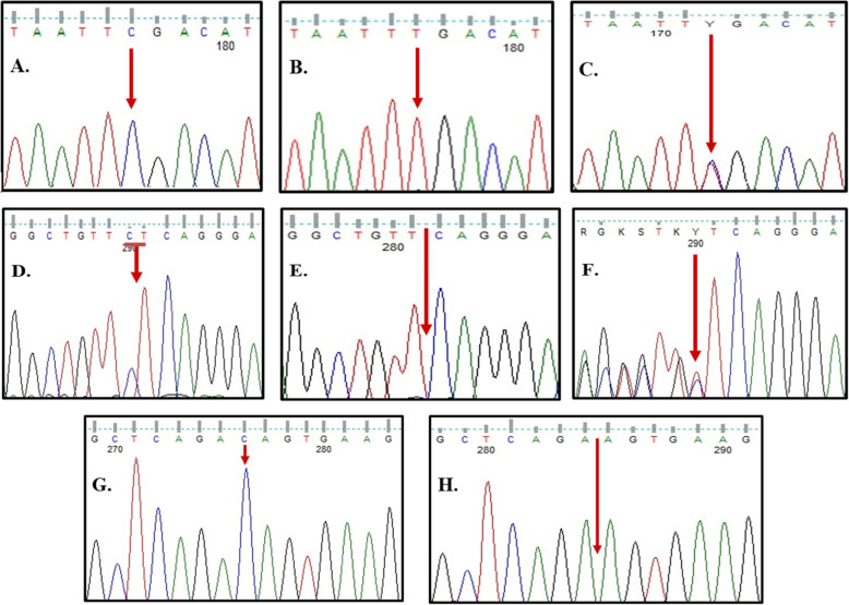 Fig. 6