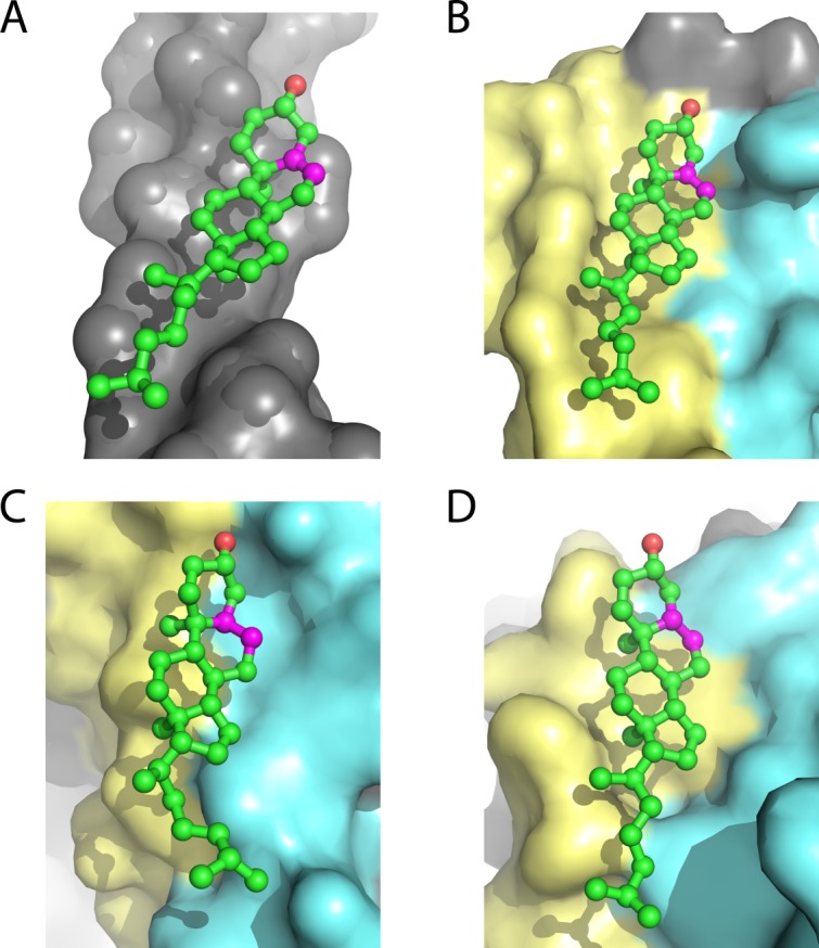 Figure 7