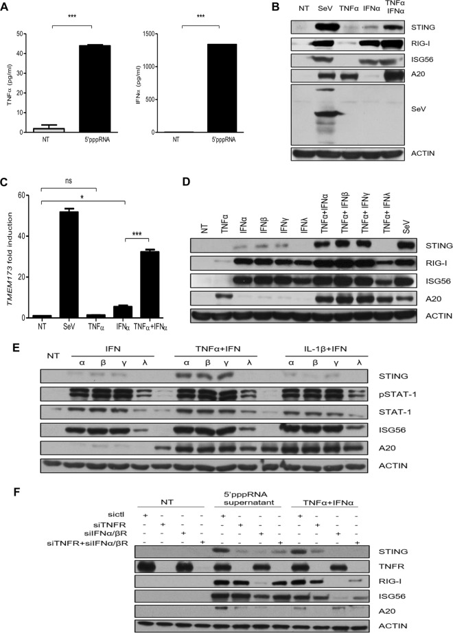 FIG 3