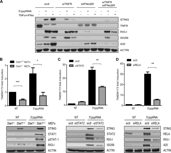 FIG 4